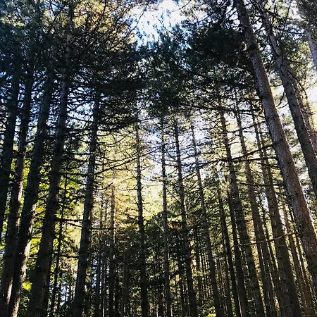 Rifugio Nel Bosco Della Sila Camigliatello Silano